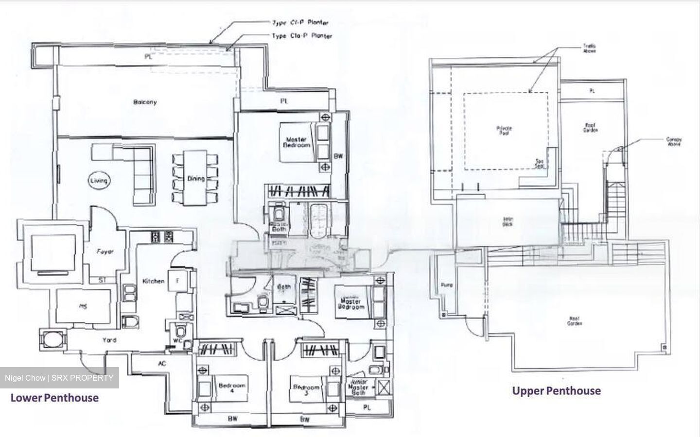 The Beverly (D21), Apartment #469736271